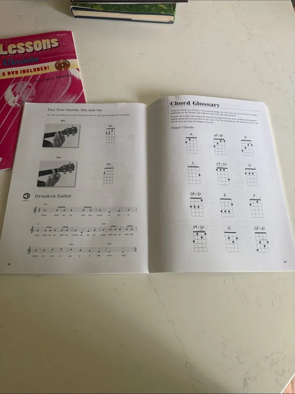 Lot of 2 books Play Ukulele Today! Beginner Lesson Book - White
